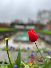 Dublin tour through streets with historic buildings, university, whiskey, beer