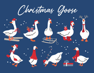 Winter Christmas illustration set with white geese, Christmas design on blue background .Vector illustration