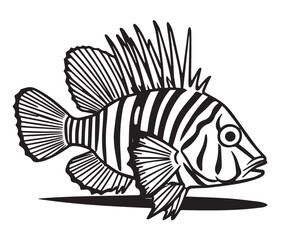 Monochrome Drawing of a Lionfish with Striking Pattern and Spiky Dorsal Fin, Vector Graphic with Detailed Fins and Scales, Ideal for Marine Life and Danger Themes