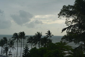 Dark storm clouds in the sky and palm trees bending under the squall wind during a tropical storm on the Andaman Sea.