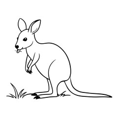 a detailed black and white drawing of a kangaroo, with blades of grass in its habitat 