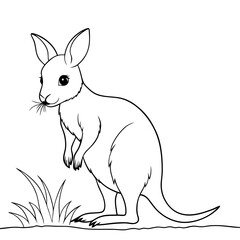 an adorable kangaroo standing in a field of grass, captured in a delightful illustration. This cute marsupial, with its endearing features, represents the beauty of the Australian outback