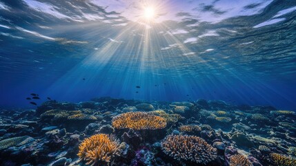Obraz premium Sunbeams Illuminate Vibrant Coral Reef Underwater Paradise