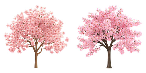 Obraz premium Two blooming cherry blossom trees with vibrant pink flowers, symbolizing spring