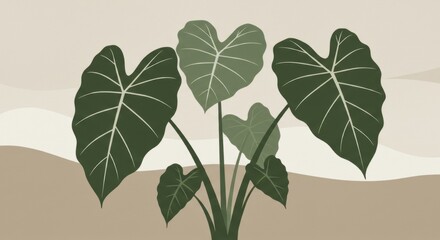 Fototapeta premium A vibrant arrangement of heart-shaped elephant ear leaves against a soft, muted background, showcasing nature's beauty - elephant plants pictures