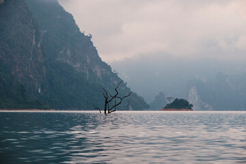 Misty lake landscape with a solitary tree and surrounding mountains at dawn in a tranquil setting. Cheow Lan Lake, Thailand