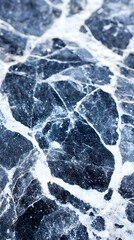 Fototapeta premium Close-up of dark, textured stone with white veins