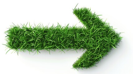A Lush Green Arrow Symbol Formed from Vibrant Grass Blades Pointing Right on a Clean White Surface, Representing Natural Growth and Direction