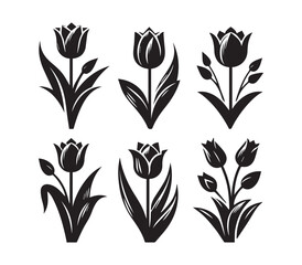 Set Black and White Silhouette Tulip Icons