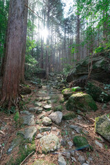 Fototapeta premium 熊野古道伊勢路九鬼峠越え