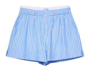 blue plaid short pant isolated