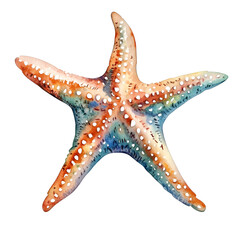 Starfish clipart isolated 
