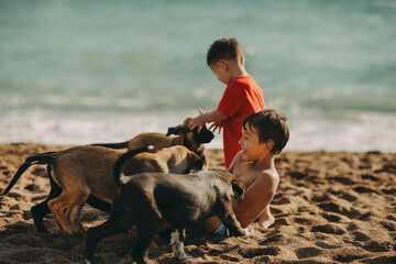 boy and his dog