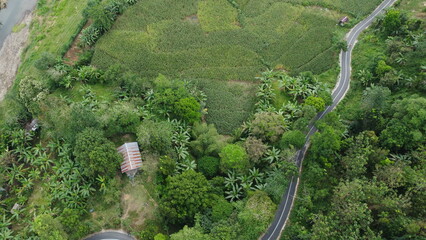 Aerial view of a winding road through green farmland and trees