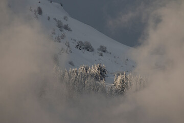 Window to the Mountain: A Glimpse Through the Mist