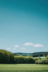 Tranquil Spring Landscape: Serene Green Field Under a Bright Blue Sky