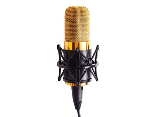 Isolated Golden Studio Microphone