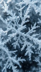 Delicate Snowflake Close-Up with Intricate Crystal Patterns