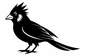 cardinal line art silhouette vector illustration