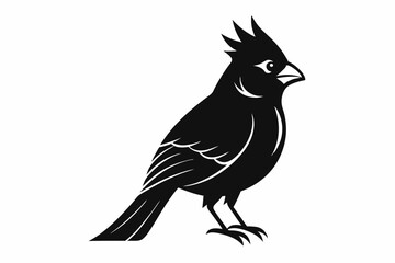 Fototapeta premium cardinal line art silhouette vector illustration