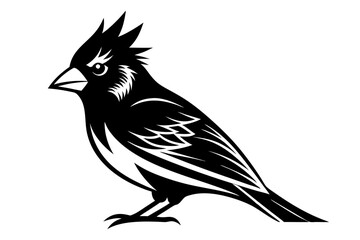 Obraz premium cardinal line art silhouette vector illustration