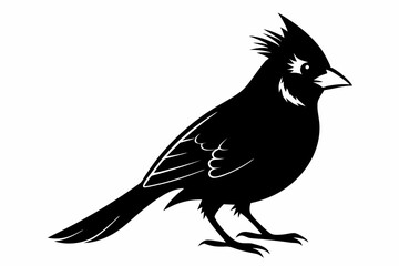 cardinal line art silhouette vector illustration