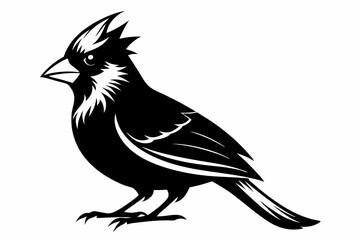 cardinal line art silhouette vector illustration