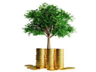 Isolated Tree Growing from a Pile of Gold Coins Indicating Growth