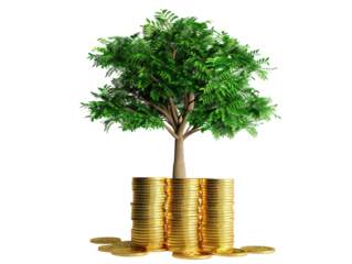 Isolated Tree Growing from a Pile of Gold Coins Indicating Growth