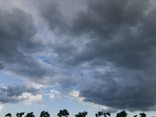 Blue sky with storm clouds over the deciduous tree tops