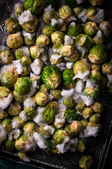Fototapeta premium Frozen Brussels sprouts on dark background