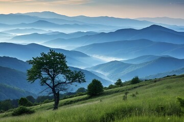 Misty Mountain Landscape with Solitary Tree at Dawn