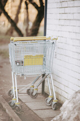 Wózek na zakupy leżący odłogiem © rozentuzjazmowany