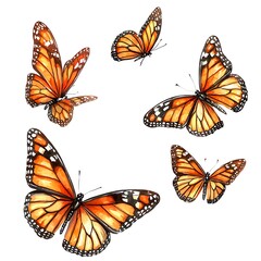 Four Monarch Butterflies in Flight, Watercolor Style Illustration. A vibrant image showcasing the beauty of monarch butterflies in dynamic poses.
