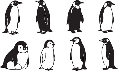 Fototapeta premium penguin silhouette vector illustration art