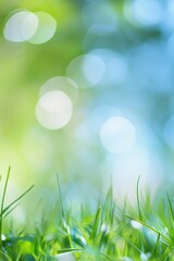 Obraz premium Vibrant Green Grass Meadow in a Summer's Day