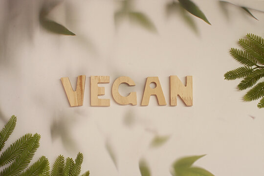 Overhead view of the word vegan made from wooden letters with fir branches on a table