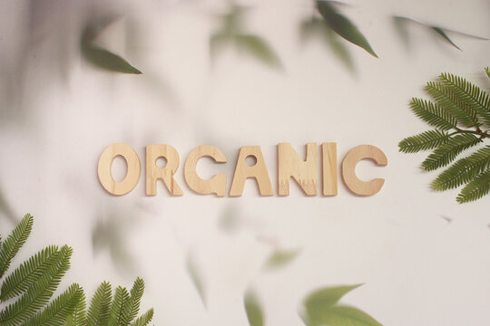 Overhead view of the word organic made from wooden letters with fir branches on a table