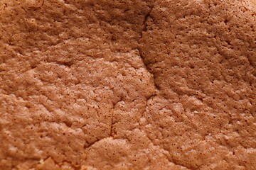 Tasty Japanese Castella sponge cake as background, closeup