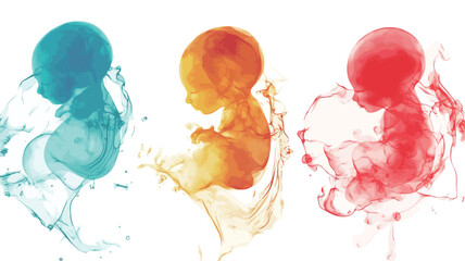 The image presents a stylized artistic rendering of three fetal forms, each depicted in a different color.  The forms are rendered in a watercolor-like style, with translucent color washes creating