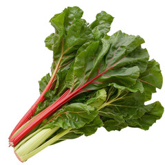 Fresh Swiss Chard Leaves with Vibrant Stems on a White Background for Healthy Cooking and Nutrition Concepts