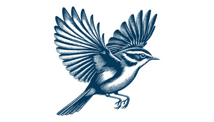 warbler bird vector