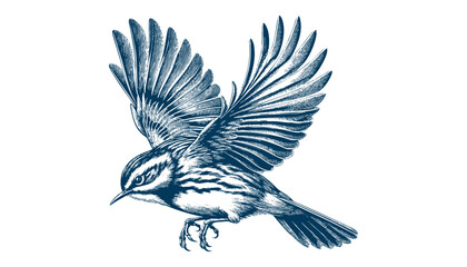 warbler bird vector