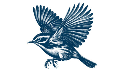 warbler bird vector