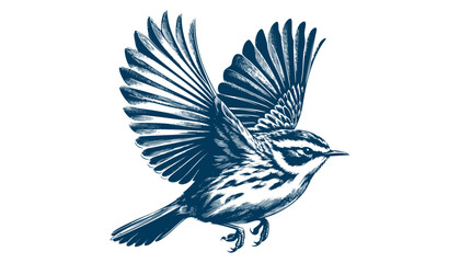 warbler bird vector