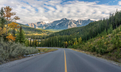 Autumn leaves along Lake Minnewanka Scenic Drive in Banff National Park - Canada	