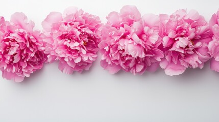 Fototapeta premium Soft Pink Peonies Arrangement on a White Background for Decor