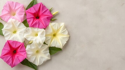 Obraz premium Colorful Floral Arrangement of Morning Glory on Soft Background