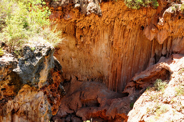 Tonto National Forest Arizona