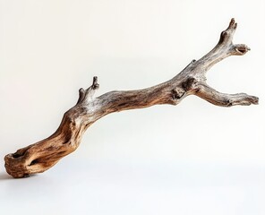 Fototapeta premium Driftwood branch lying on a white background in a studio setting